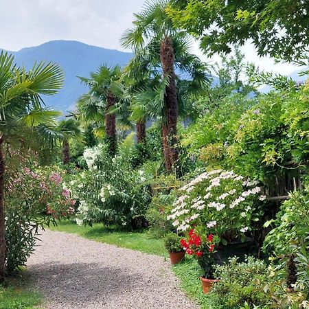 Nora S Home 1 - Panoramic Terrace & Bio Garden Merano Exterior foto